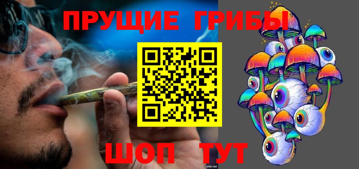 как найти закладки  Галлюциногенные грибы мицелий  Мценск  Вход с VPN  Галлюциногенные грибы мицелий 